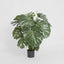 Artificial 98 cm Monstera Split Philo w/18 Lv - House of Isabella AU