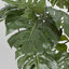 Artificial 98 cm Monstera Split Philo w/18 Lv - House of Isabella AU