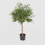 Olive Green Topping Tree 70cm