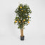 Artificial Golden Orange Tree 91cm 1026Lvs - House of Isabella AU