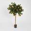 Golden Orange Tree 1.2m
