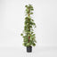 Artificial Pothos Vines on Coconut Pole 1.5m 300Lvs - House of Isabella AU