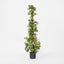 Artificial Pothos Vines on Coconut Pole 1.5m 300Lvs - House of Isabella AU