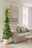 Artificial Pothos Vines on Coconut Pole 1.5m 300Lvs - House of Isabella AU