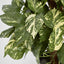 Artificial Pothos Vines on Coconut Pole 90cm 200Lvs - House of Isabella AU