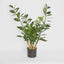 Pack of 2 x Smargago Potted Plant 90cm