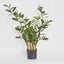 Pack of 2 x Smargago Potted Plant 90cm