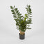 Pack of 2 x Smargago Potted Plant 90cm