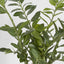 Pack of 2 x Smargago Potted Plant 90cm