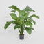Artificial 100cm Spathiphyllum Potted 24 - House of Isabella AU