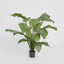 Artificial 100cm Spathiphyllum Potted 24 - House of Isabella AU
