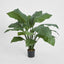 Artificial 66cm Spathiphyllum Potted 19 l - House of Isabella AU