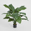 Artificial 66cm Spathiphyllum Potted 19 l - House of Isabella AU