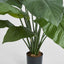 Artificial 66cm Spathiphyllum Potted 19 l - House of Isabella AU