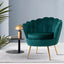 Artiss Retro Armchair - Green