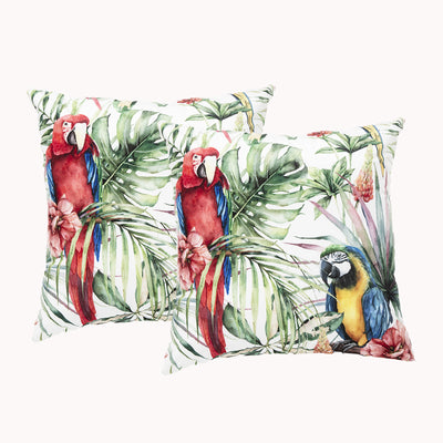 Tropical Twin Pack Poly Velvet Printed Cushion by Renee Taylor