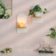 2-Pack Bohemian Style Wooden Wall Shelves with Expander Bolts, White, Compatible with Living Rooms Bedrooms Kitchens