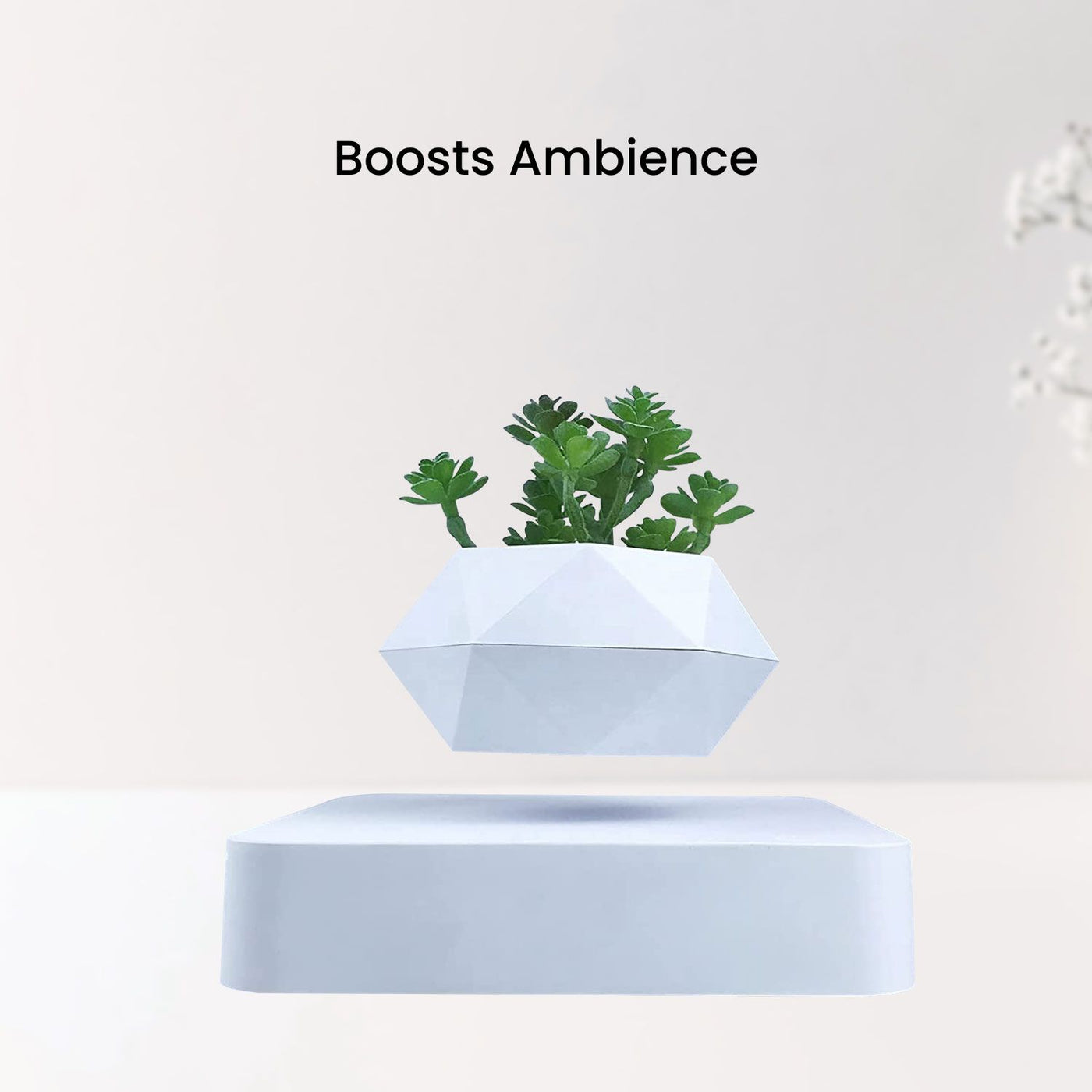 GOMINIMO Magnetic Levitating Plant Pot White