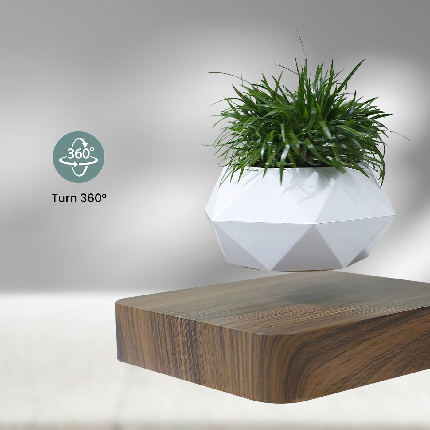 GOMINIMO Magnetic Levitating Plant Pot Dark Brown Base