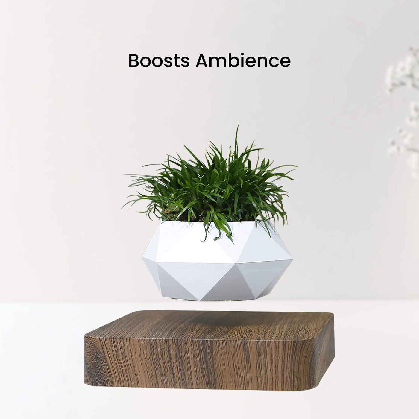 GOMINIMO Magnetic Levitating Plant Pot Dark Brown Base