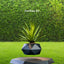 GOMINIMO Magnetic Levitating Plant Pot Black