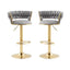 2x Height Adjustable Swivel Bar Stool Velvet Golden Base Barstools Chairs Padded Seat- Grey