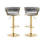 SERENITÃƒÆ’Ã‚Â  Grey Velvet Seat Kitchen Breakfast Bar Stools Counter Height Barstools with Back Cushioned Chairs for Home Bar x2
