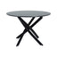 Marble Masterpiece Table and Chair Set