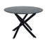 Marble Masterpiece Table and Chair Set