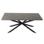 Dining Delight: Rectangular Table and Navy Velvet Chairs Dining Set