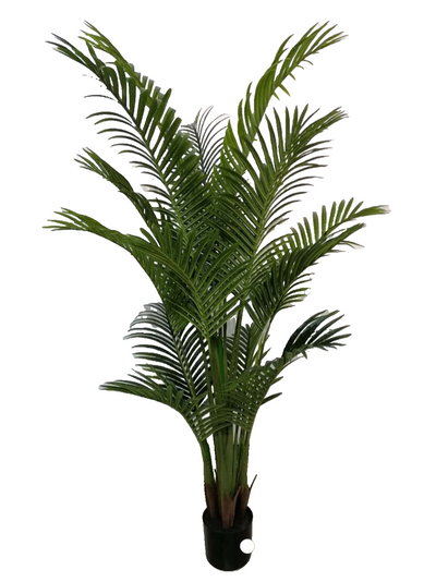 Artificial Palm Tree Plant - 170cm