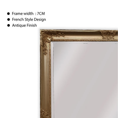 French Provincial Ornate Mirror - Champagne - Small 80cm x 110cm