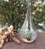 25 Bulk Pack of Hanging Clear Glass Tealight Candle Holder Tear Drop Pear Hour Glass Shape - 20cm High Terrarium Plant Mini Garden Holder Decoration Craft Gift