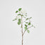 Viburnum Spray 84cm White
