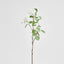 Viburnum Spray 84cm White