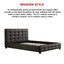 Queen PU Leather Deluxe Bed Frame Black