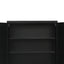 Two-Door Metal Short Cabinet Shelf Storage for Home Office Gym
