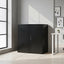 Two-Door Metal Short Cabinet Shelf Storage for Home Office Gym