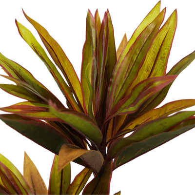 Faux Cordyline fruticosa Tree