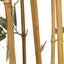 Premium Natural Cane Artificial Bamboo (UV Resistant) 150cm