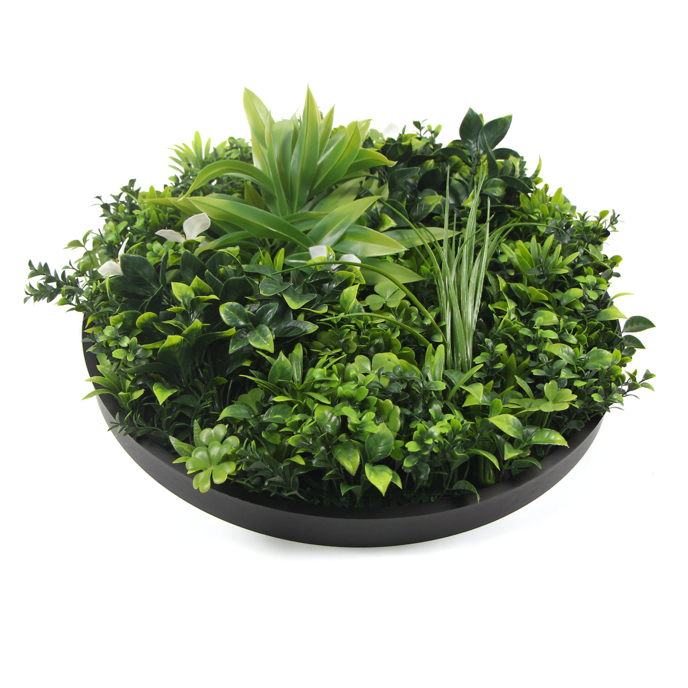 Flowering White Artificial Green Wall Disc UV Resistant 75cm (Black Frame)