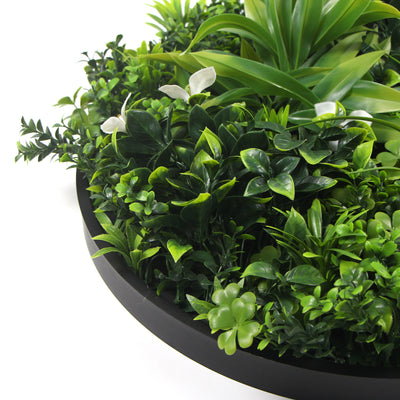 Flowering White Artificial Green Wall Disc UV Resistant 100cm (Black Frame)