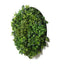 Slimline Artificial Green Wall Disc Art 80cm Mixed Green Fern & Ivy (White)