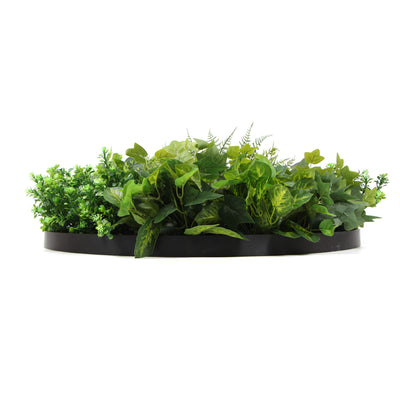 Slimline Artificial Green Wall Disc Art 80cm Mixed Green Fern & Ivy (Modern Black)