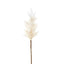Wheat Astilbe Flower Stem 75cm White (Set of 12)