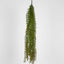 Water Grass Hanging Spray 98cm (Set of 6)