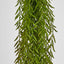 Water Grass Hanging Spray 98cm (Set of 6)