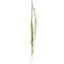 Willow Vine Spray 1.6m Green