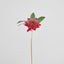 Waratah Stem 50cm Red