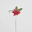 Waratah Stem 50cm Red
